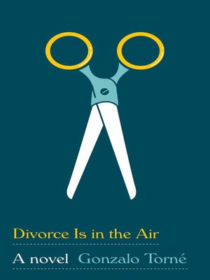 cover image of Divorce Is in the Air